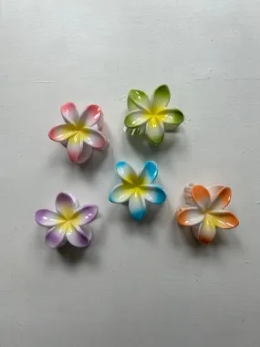 Flower hair claw