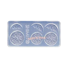 Fruit Slices Miniature Silicone Mold