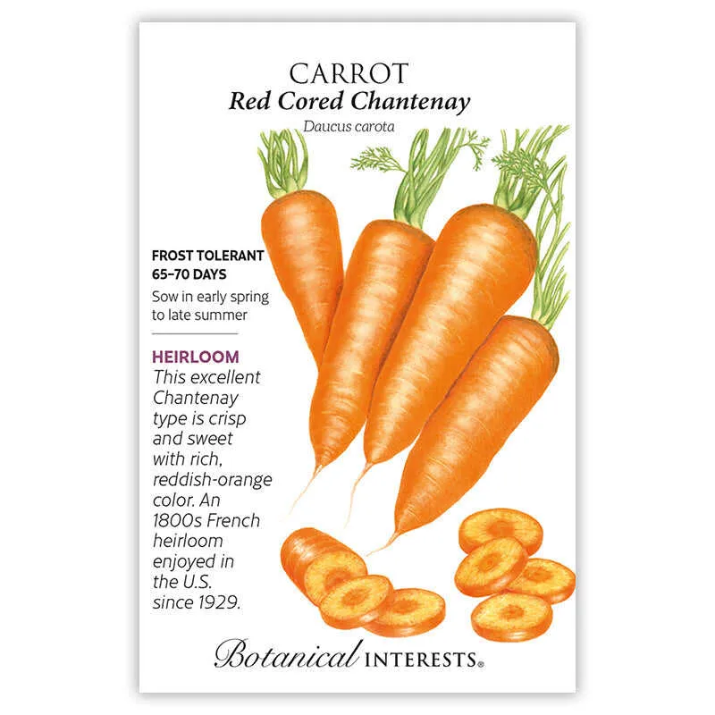 Red Cored Chantenay Carrot Seeds